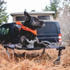 Helinox Elevated Dog Cot - Medium (Fall 2022) 10 Helinox Elevated Dog Cot - Medium (Fall 2022) -Camping Shop helinox vanlife dog cot 600x 800x 9a70c463 4f67 4a19 b51f 4d3433991b27 800x800 rsz 32155.1646680882